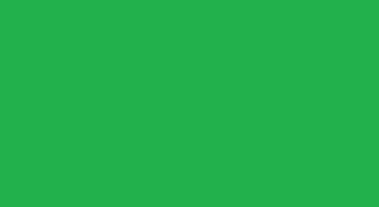 $12 item GREEN